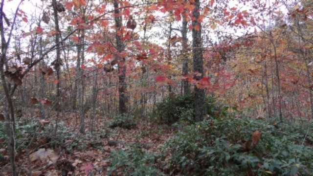 0 Drew Court Smithville TN 37166