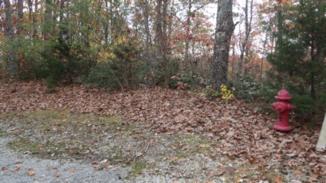 0 Drew Court Smithville TN 37166