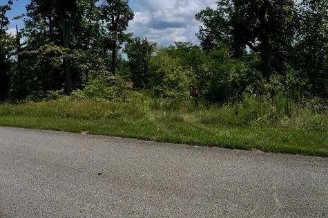 0 Mouse Tail Road Parsons TN 38363