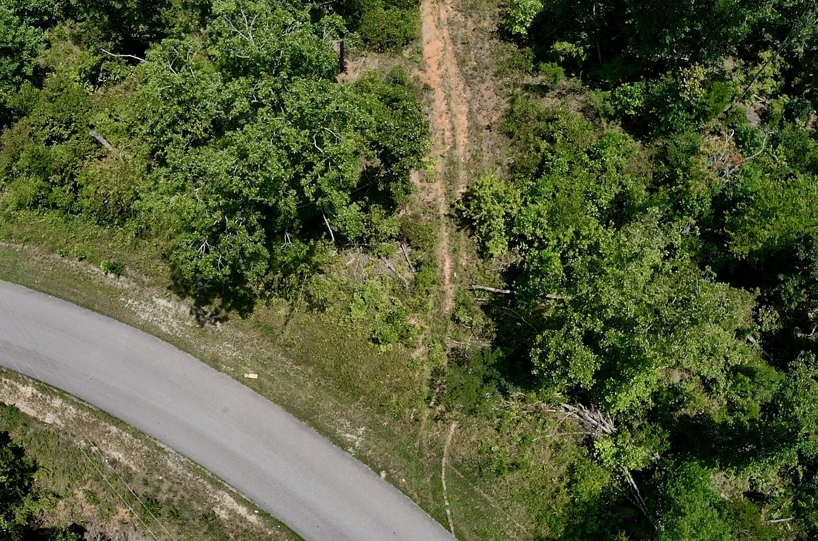 0 Mouse Tail Road Parsons TN 38363
