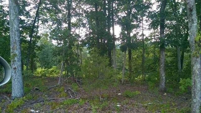 104105 Peach Orchard Hill Road, NE Cleveland TN 37323