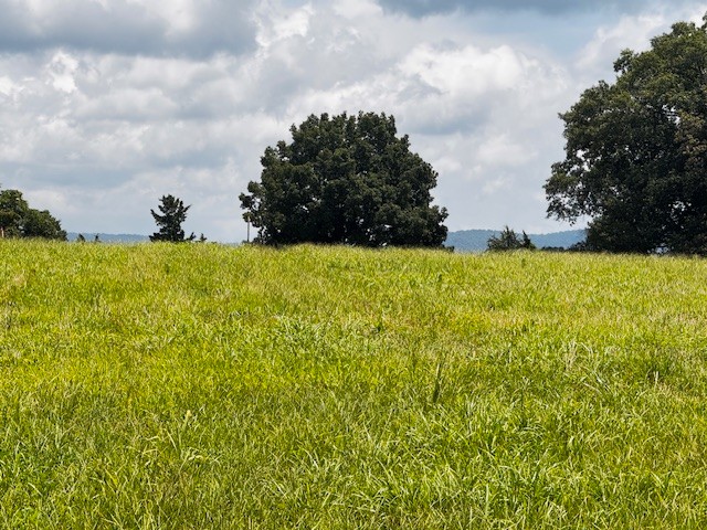 0 Old Holders Cove Road Winchester TN 37398