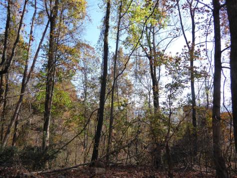 0 Laurel Avenue South Pittsburg TN 37380