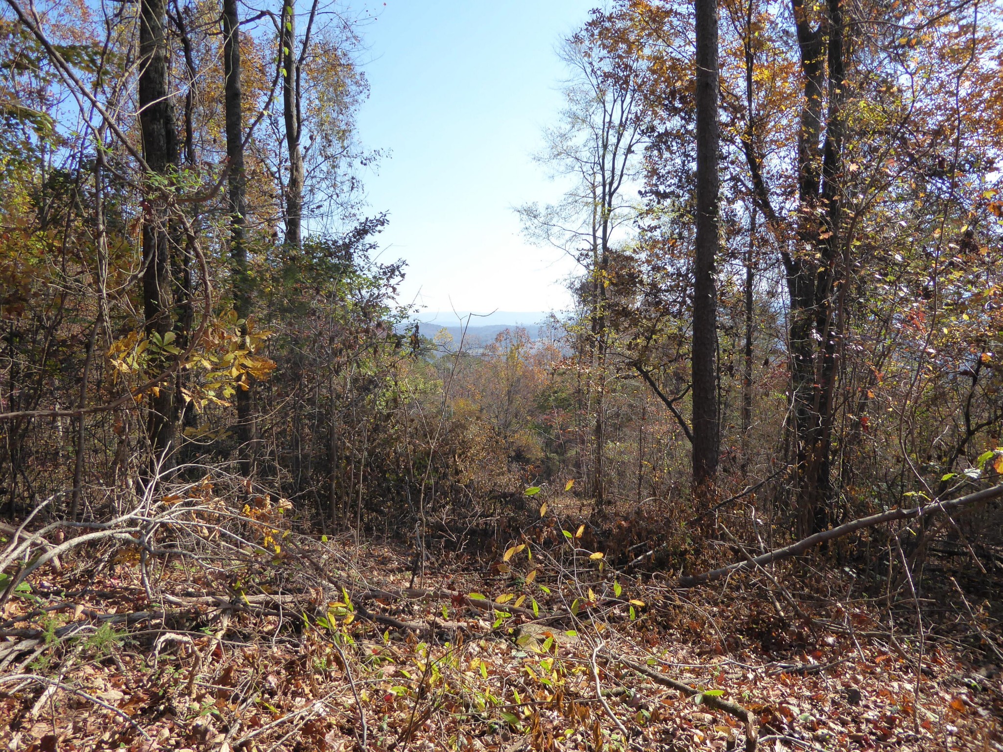 0 Laurel Avenue South Pittsburg TN 37380
