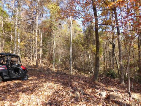 0 Laurel Avenue South Pittsburg TN 37380