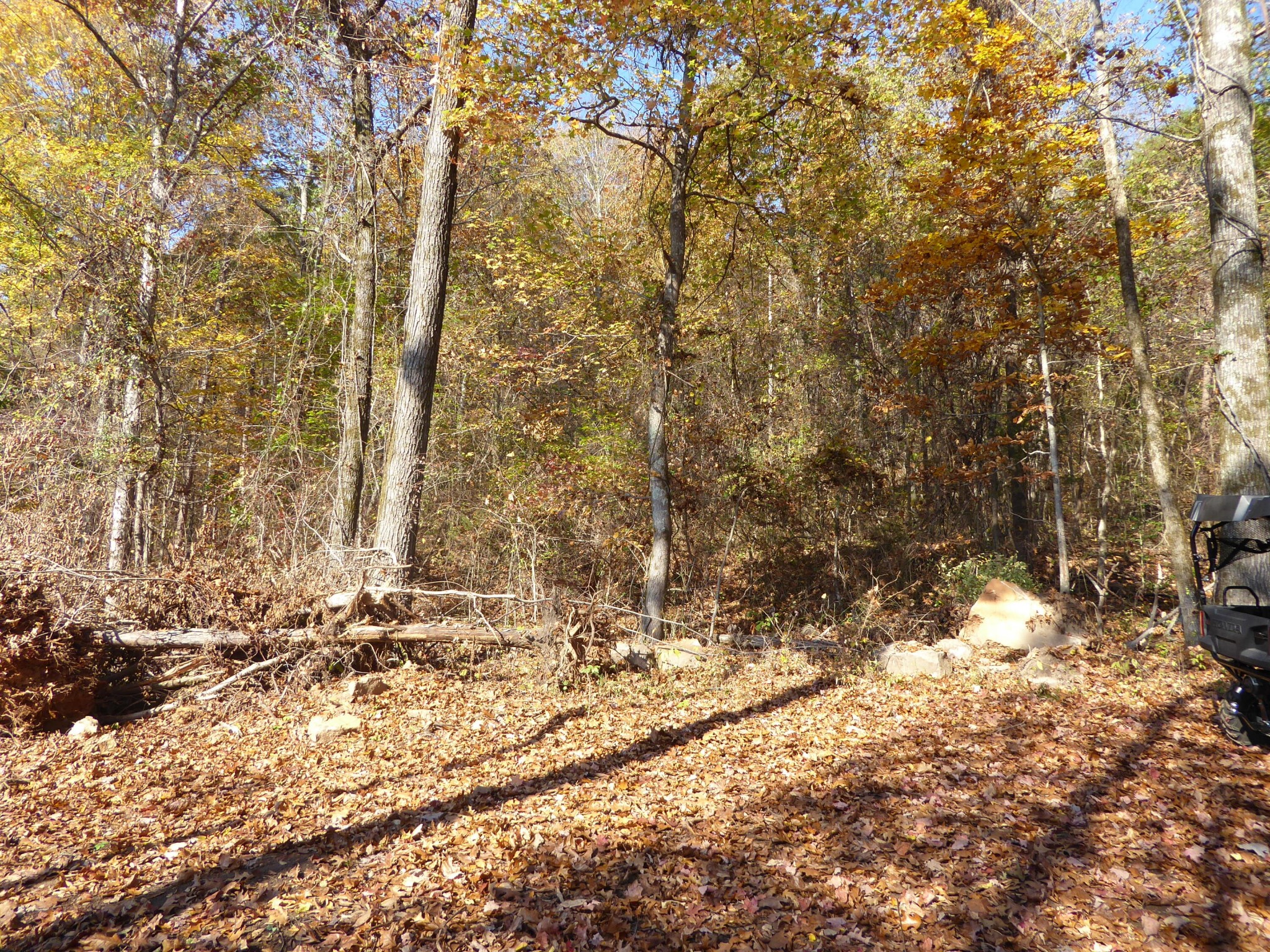 0 Laurel Avenue South Pittsburg TN 37380