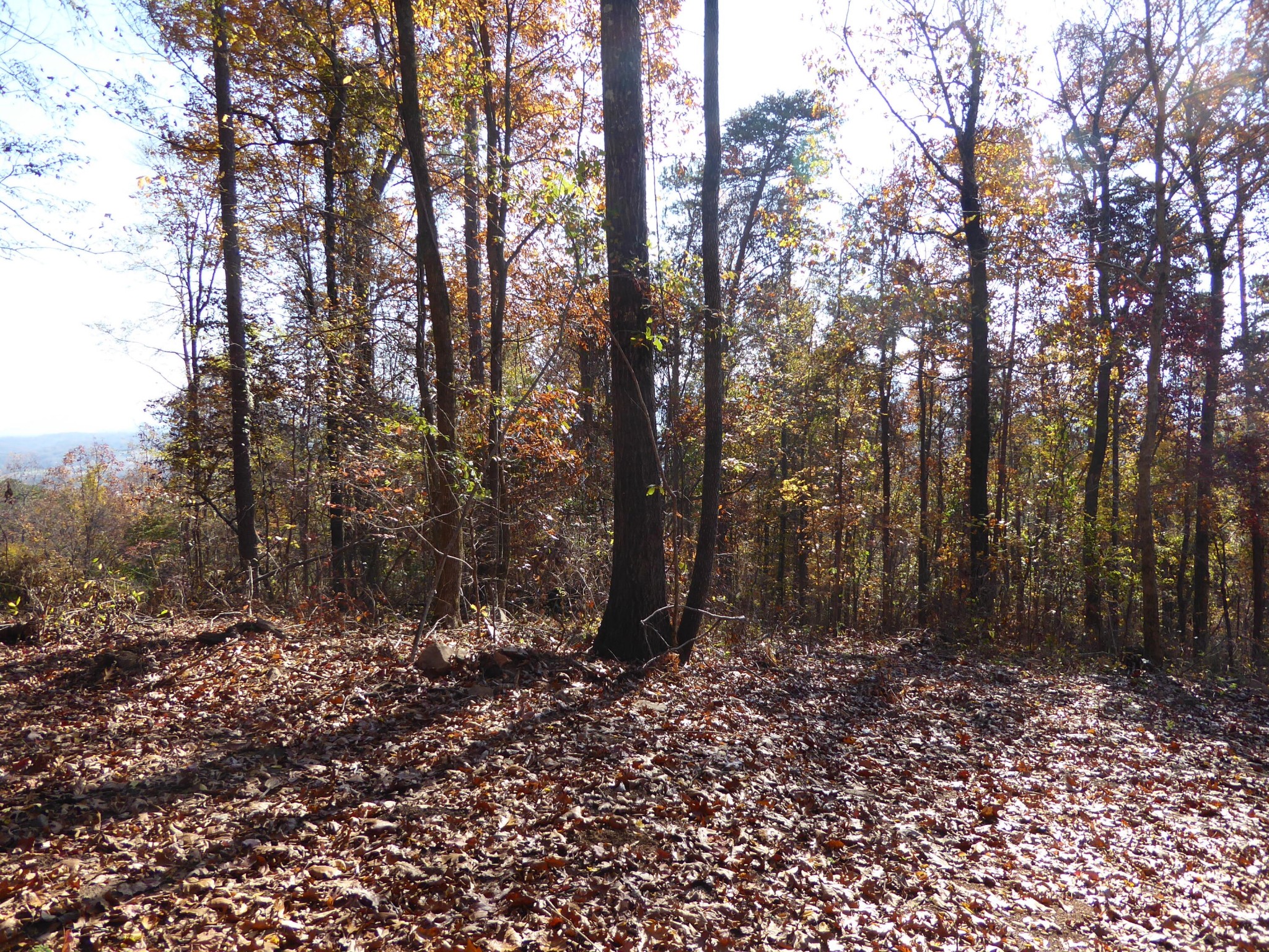 0 Laurel Avenue South Pittsburg TN 37380
