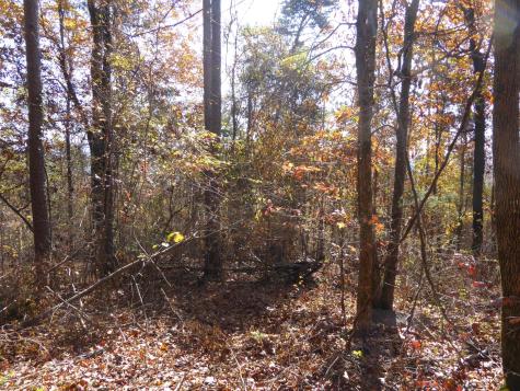 0 Laurel Avenue South Pittsburg TN 37380