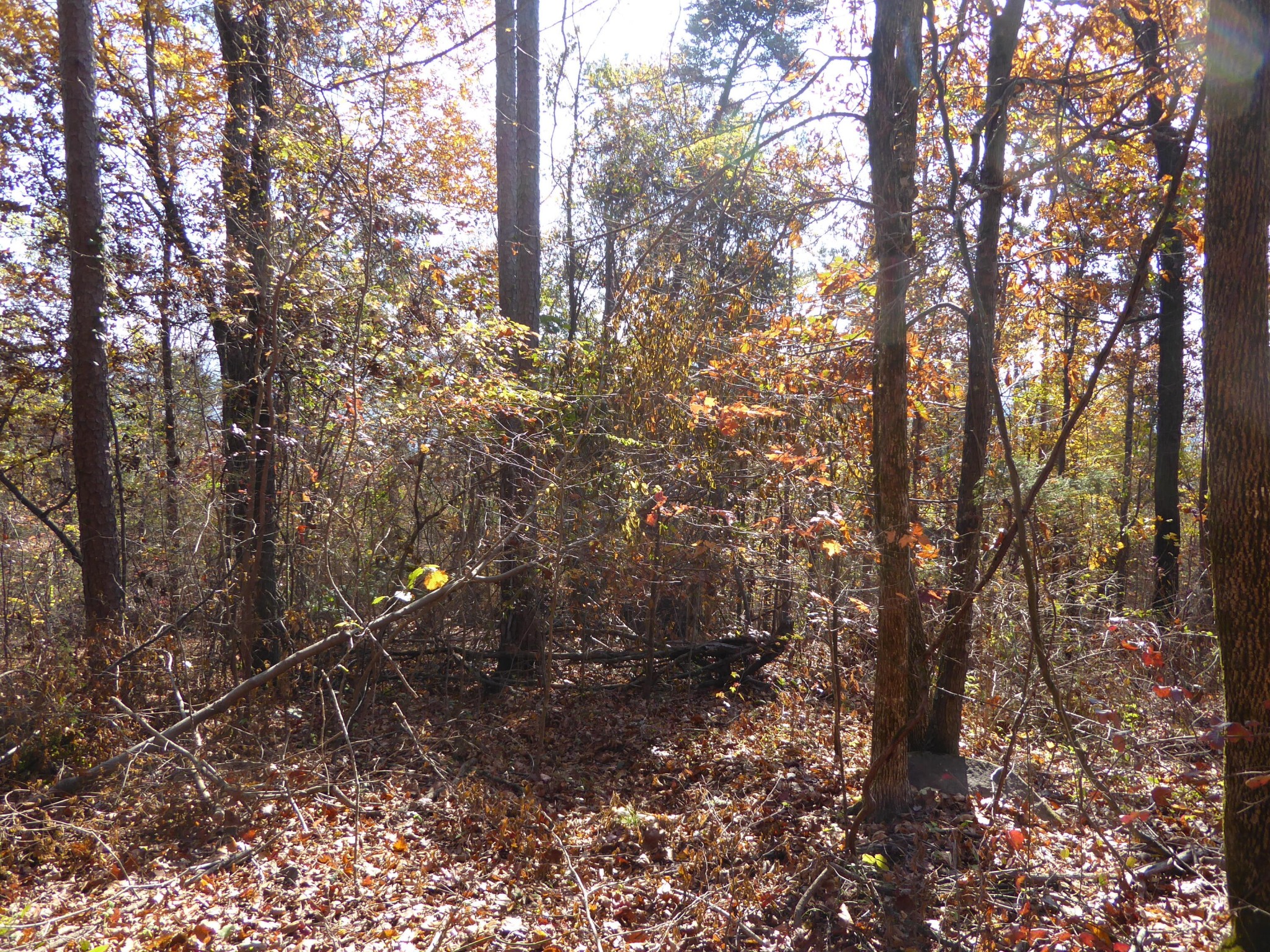 0 Laurel Avenue South Pittsburg TN 37380
