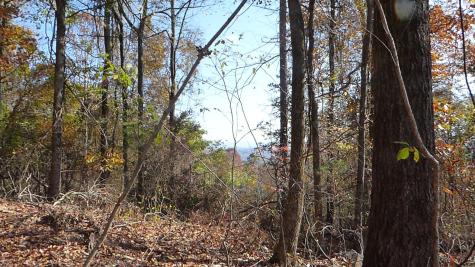 0 Laurel Avenue South Pittsburg TN 37380