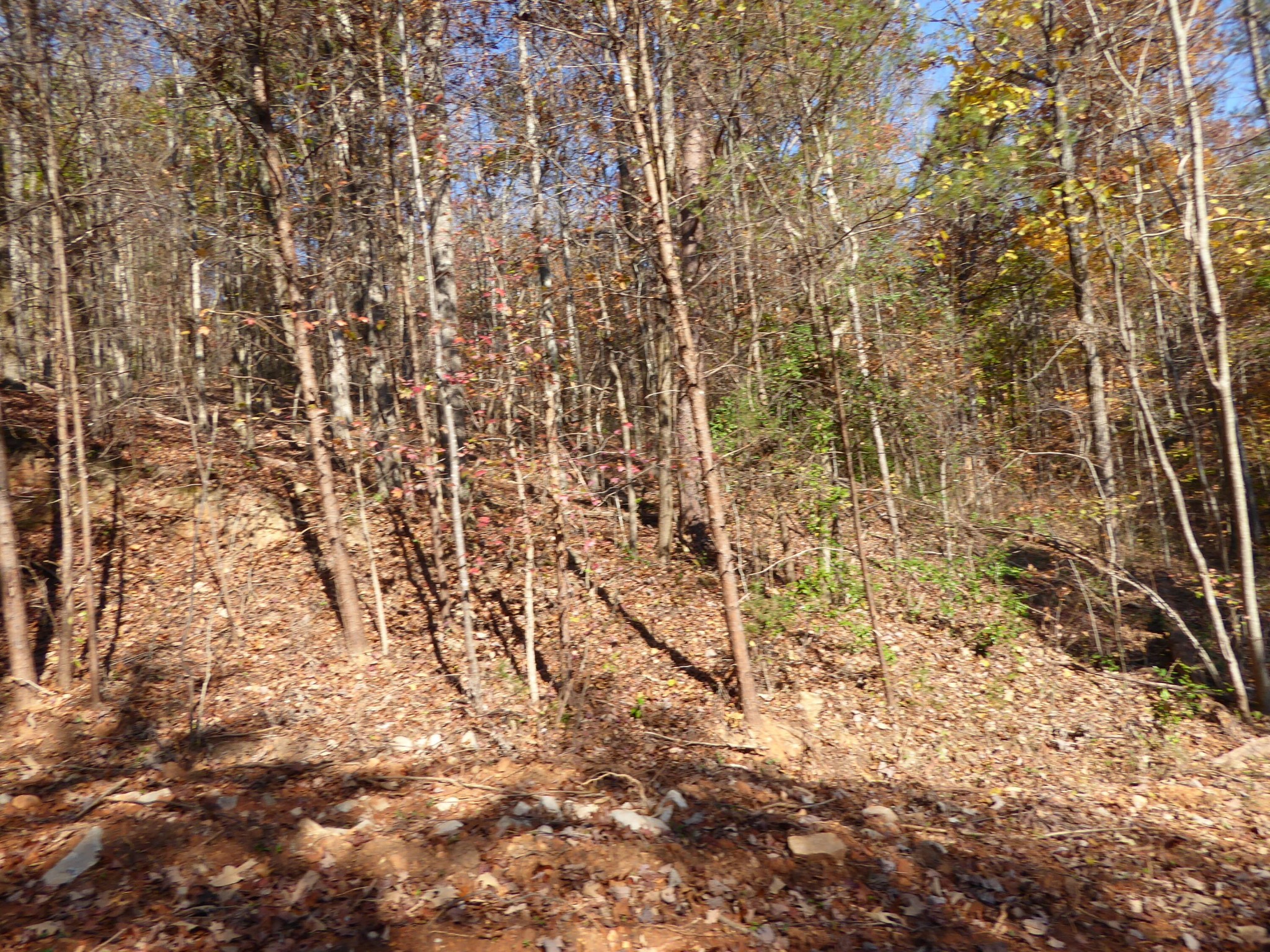 0 Laurel Avenue South Pittsburg TN 37380