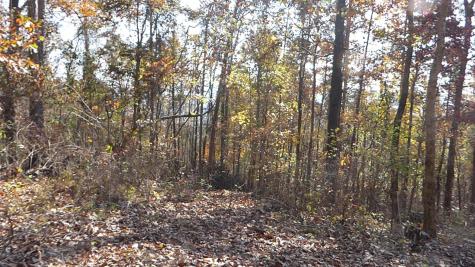 0 Laurel Avenue South Pittsburg TN 37380