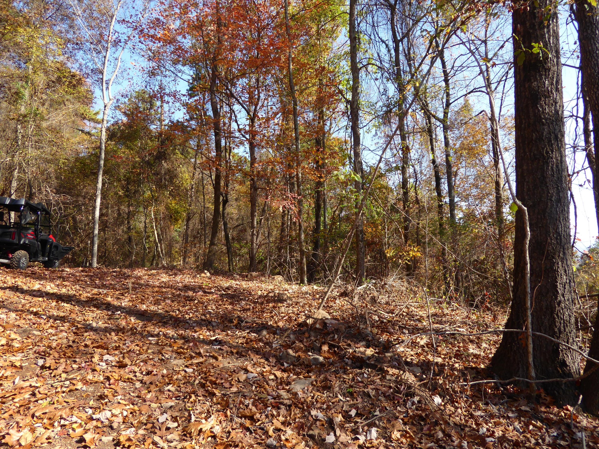 0 Laurel Avenue South Pittsburg TN 37380