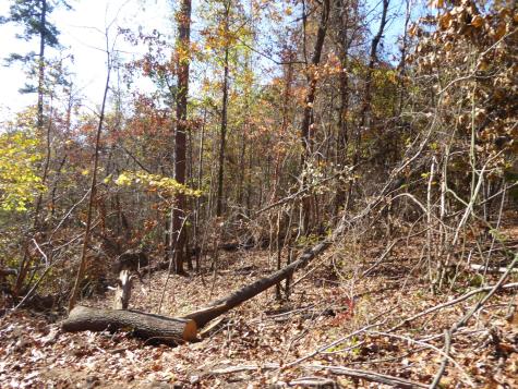 0 Laurel Avenue South Pittsburg TN 37380