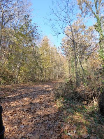 0 Laurel Avenue South Pittsburg TN 37380