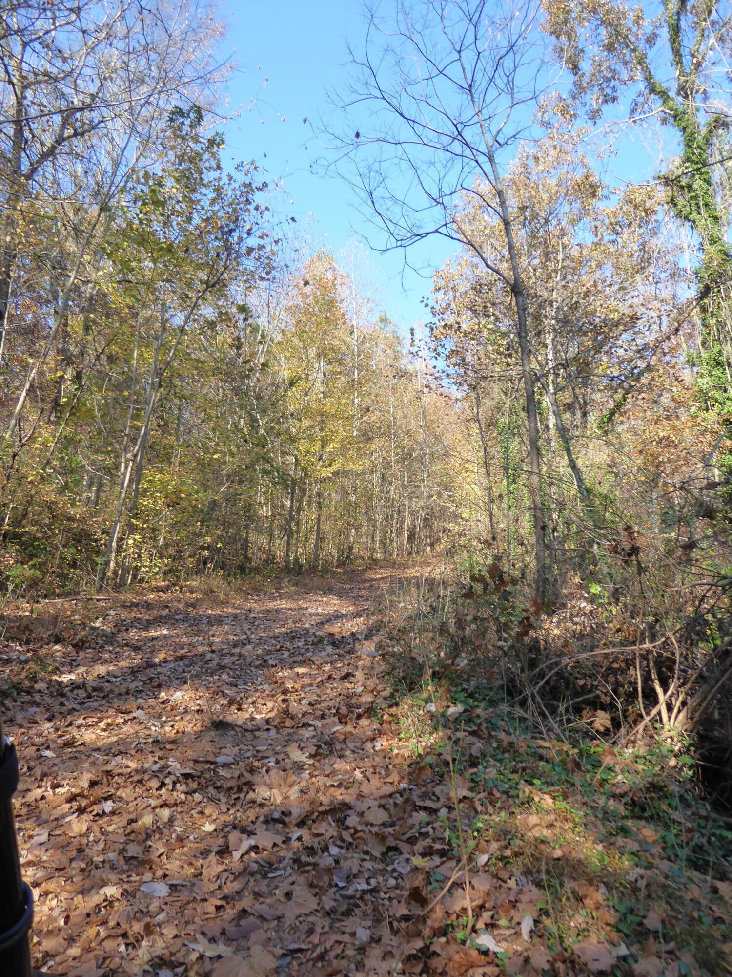 0 Laurel Avenue South Pittsburg TN 37380
