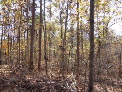 0 Laurel Avenue South Pittsburg TN 37380