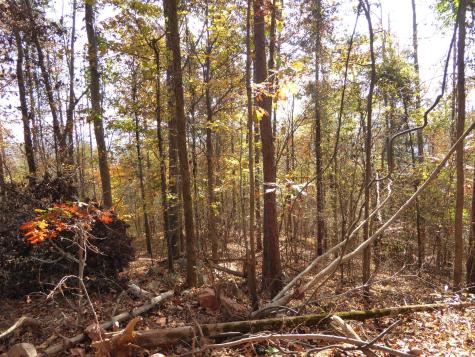 0 Laurel Avenue South Pittsburg TN 37380