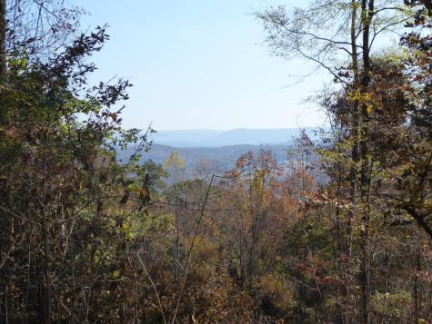 0 Laurel Avenue South Pittsburg TN 37380