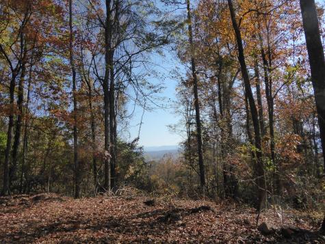 0 Laurel Avenue South Pittsburg TN 37380