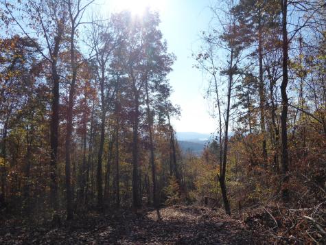 0 Laurel Avenue South Pittsburg TN 37380