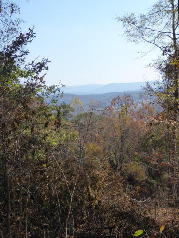 0 Laurel Avenue South Pittsburg TN 37380