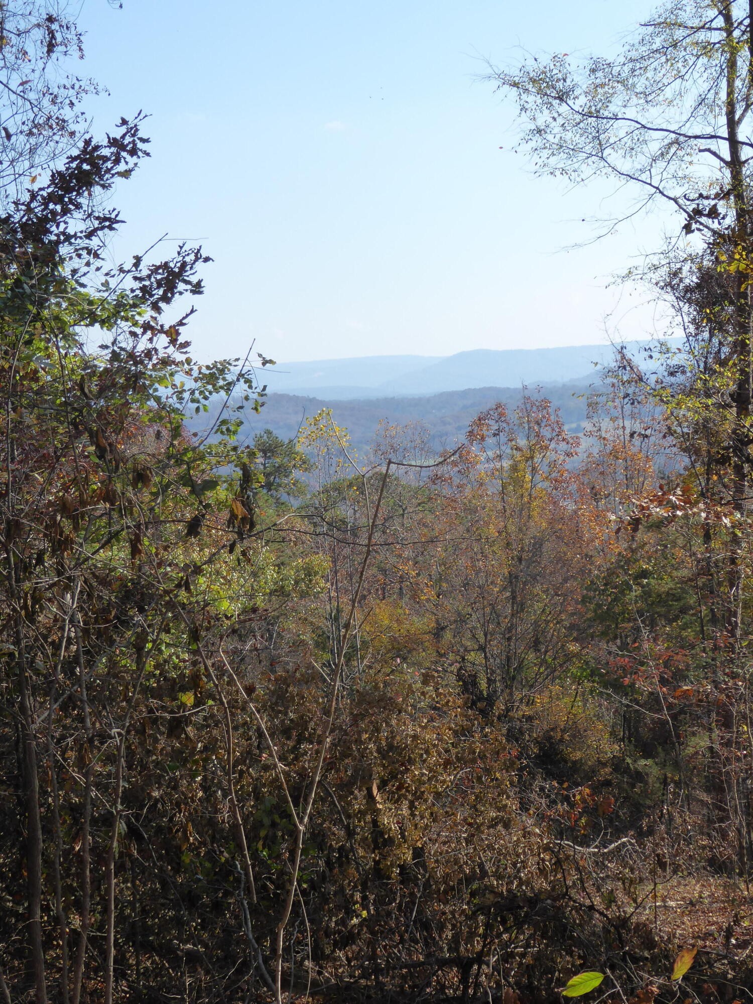 0 Laurel Avenue South Pittsburg TN 37380