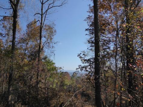 0 Laurel Avenue South Pittsburg TN 37380