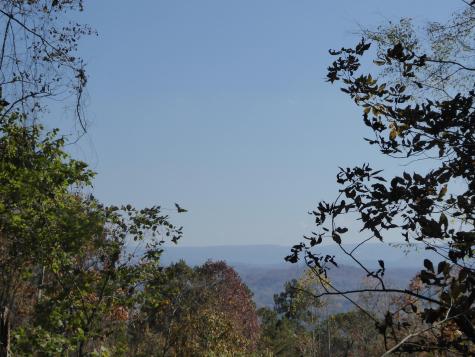 0 Laurel Avenue South Pittsburg TN 37380