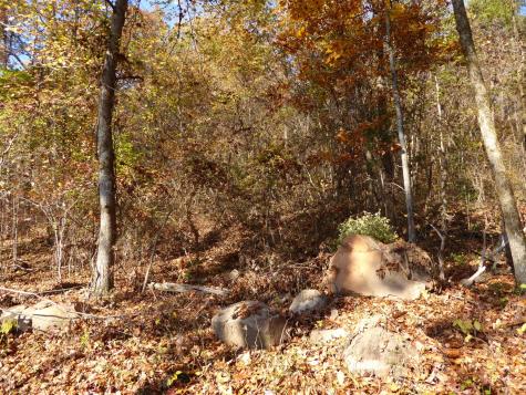 0 Laurel Avenue South Pittsburg TN 37380