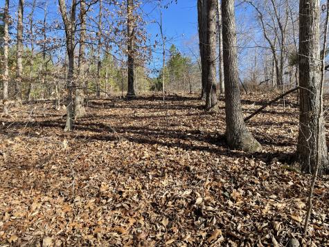 0 Wyatt Hollow Road Big Rock TN 37023