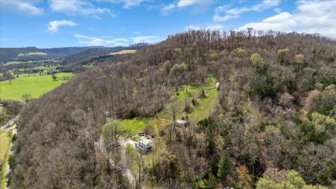394 Lou Drive Dowelltown TN 37059