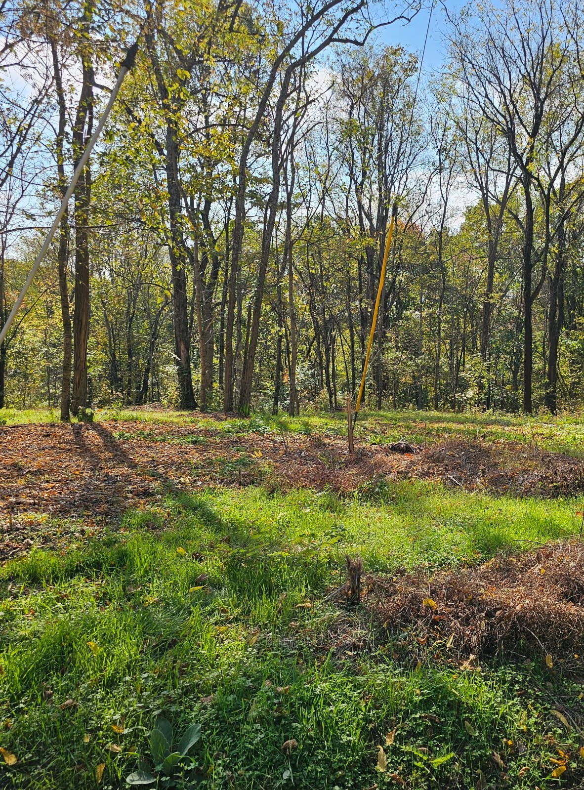 Spring Hill TN, Sugar Ridge