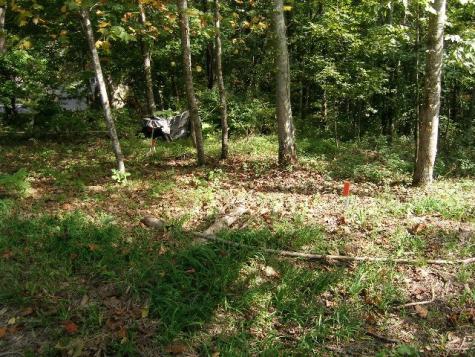 0 Sugar Ridge Spring Hill TN 37174