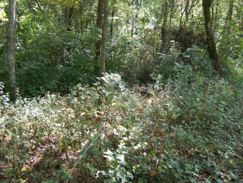 0 Sugar Ridge Spring Hill TN 37174