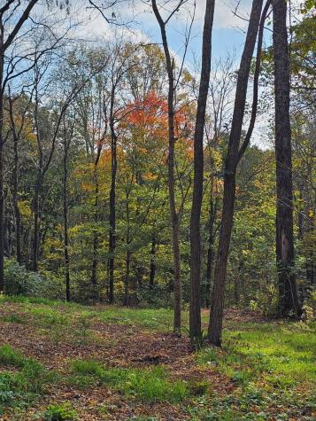 0 Sugar Ridge Spring Hill TN 37174