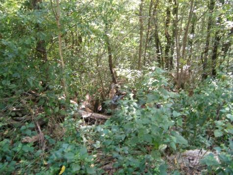 0 Sugar Ridge Spring Hill TN 37174