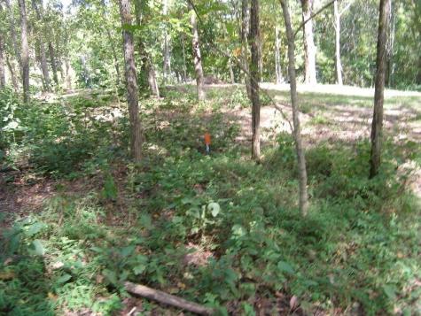 0 Sugar Ridge Spring Hill TN 37174