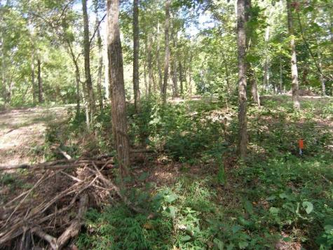 0 Sugar Ridge Spring Hill TN 37174