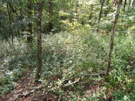 0 Sugar Ridge Spring Hill TN 37174