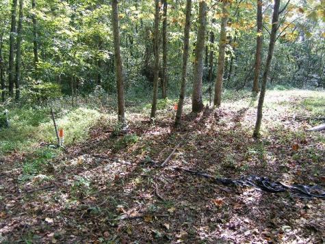 0 Sugar Ridge Spring Hill TN 37174