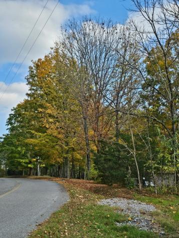 0 Sugar Ridge Spring Hill TN 37174