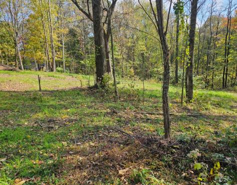 0 Sugar Ridge Spring Hill TN 37174
