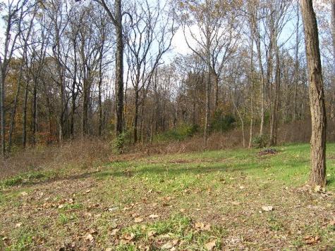 0 Sugar Ridge Spring Hill TN 37174