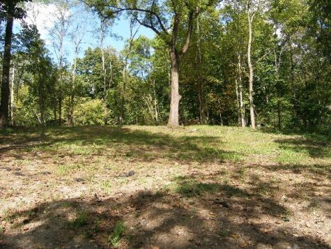 0 Sugar Ridge Spring Hill TN 37174