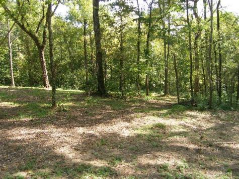 0 Sugar Ridge Spring Hill TN 37174