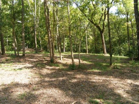 0 Sugar Ridge Spring Hill TN 37174