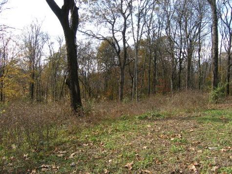 0 Sugar Ridge Spring Hill TN 37174