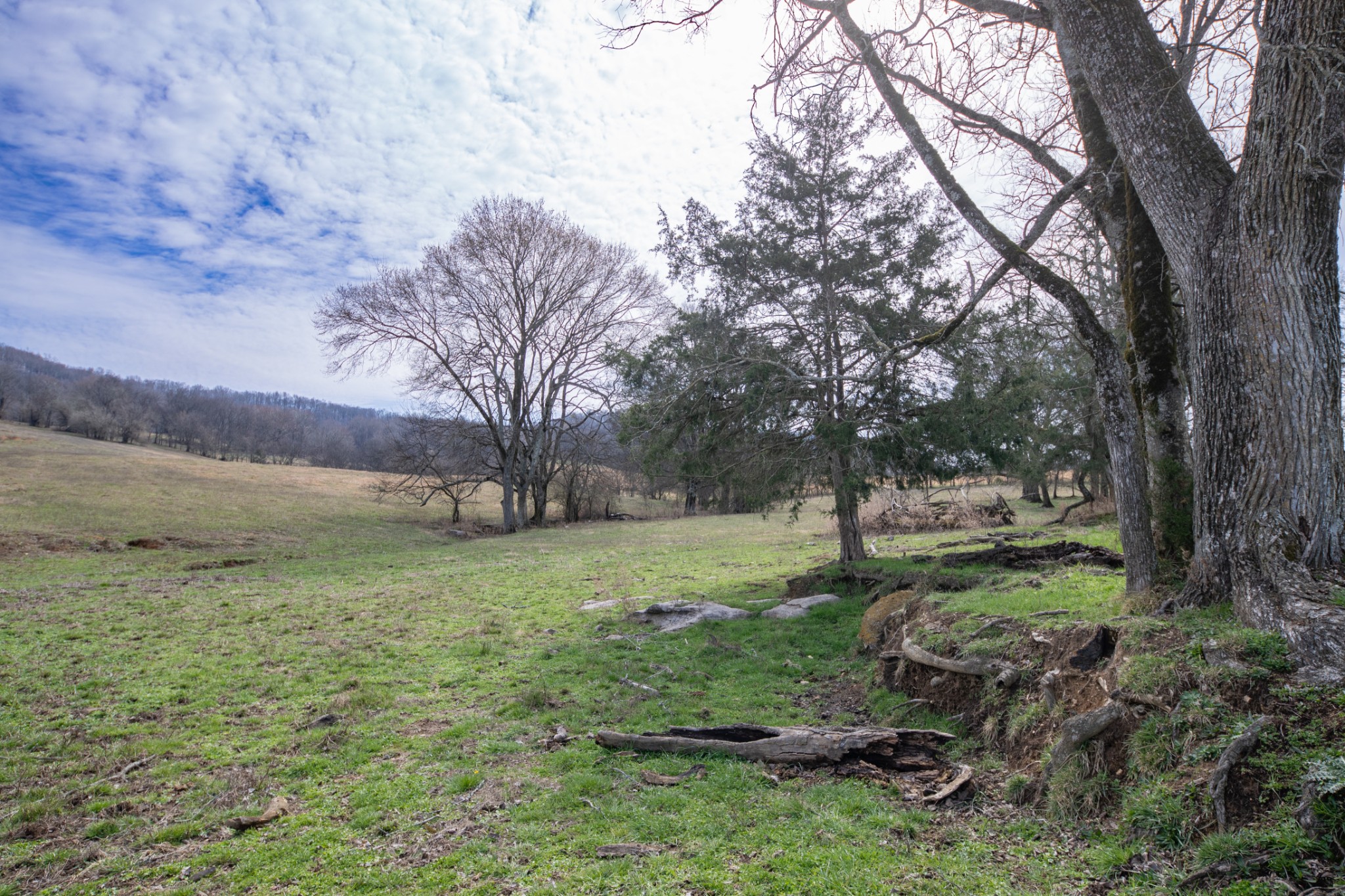 1771 Cornersville Highway Lewisburg TN 37091