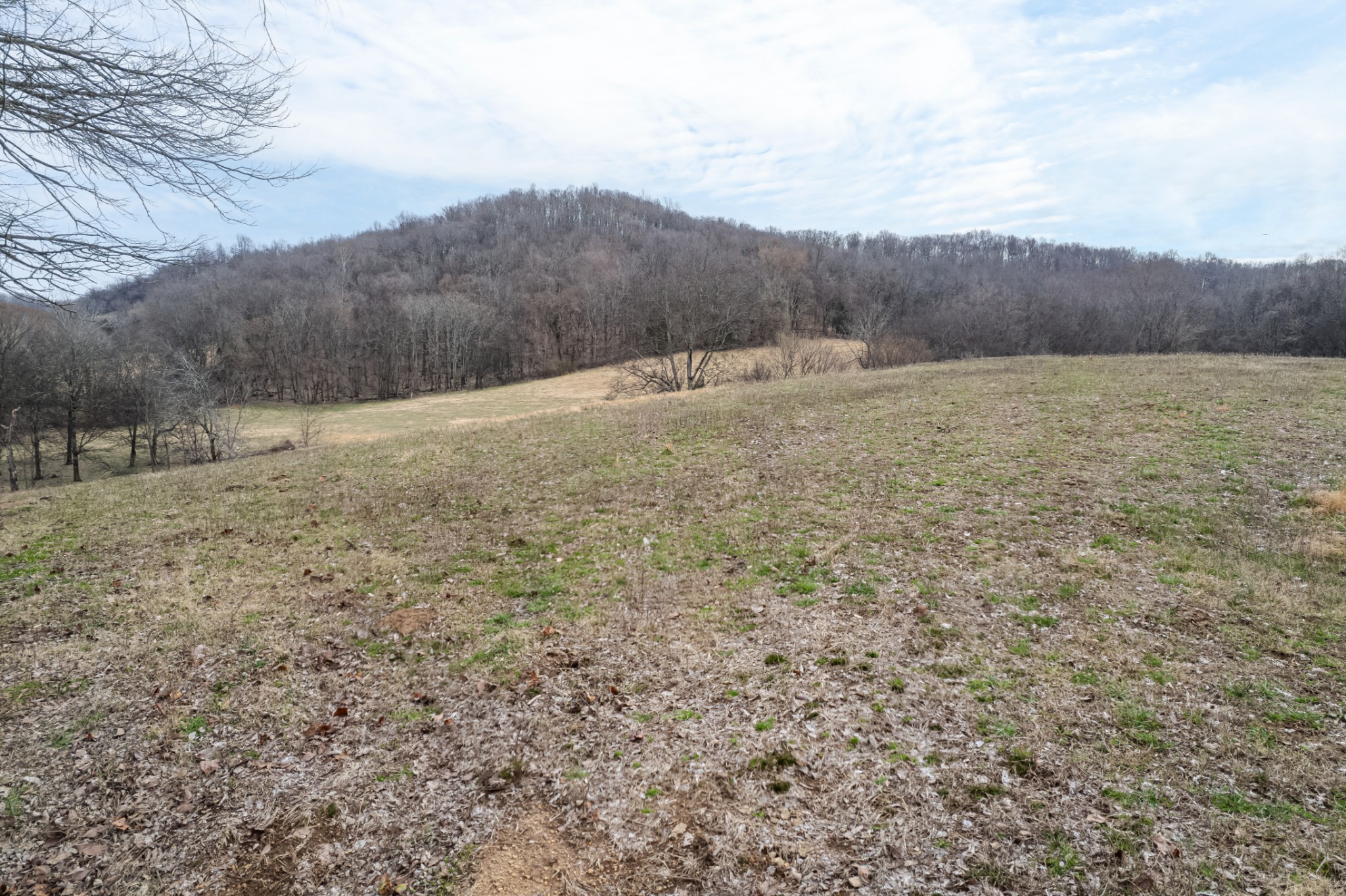 1771 Cornersville Highway Lewisburg TN 37091